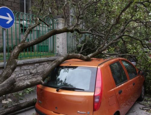 Naplata štete uzrokovane padom stabla ili grane na vozilo